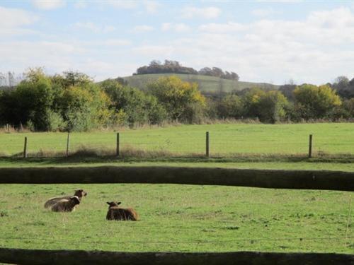 The Red Barn Διαμέρισμα Long Wittenham Εξωτερικό φωτογραφία